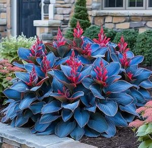 Хоста Грин Фог купить по цене от 669р. в интернет-магазине «Посадика» с доставкой почтой в в Новосибирске и по всей России – [изображение №1].