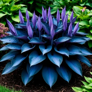 Хоста Сикрет Гров купить по цене от 570р. в интернет-магазине «Посадика» с доставкой почтой в в Новосибирске и по всей России – [изображение №1].